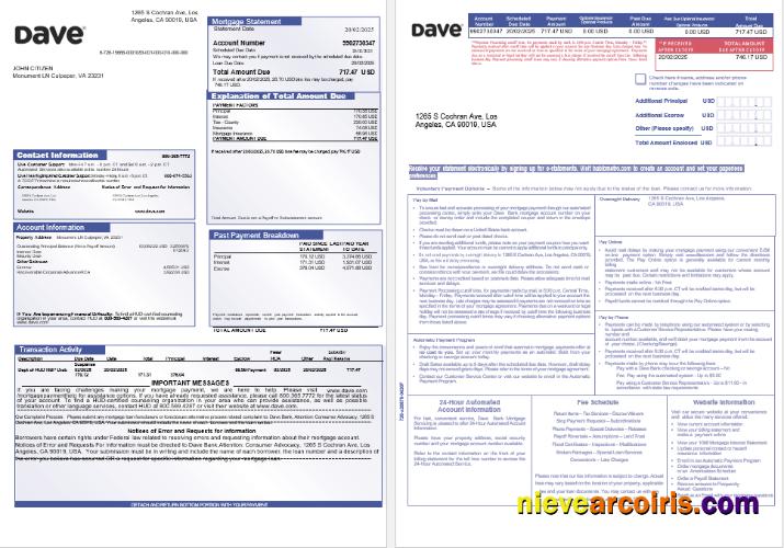 USA Dave Bank Mortgage Statement In Word And PDF Formats, 3 Pages 1 2 Template
