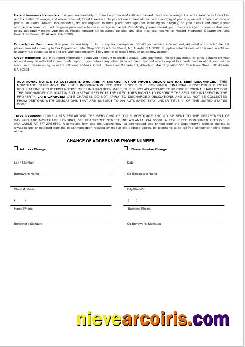 USA Georgian SunTrust Bank Mortgage Statement In Word And PDF Formats 3 Sample