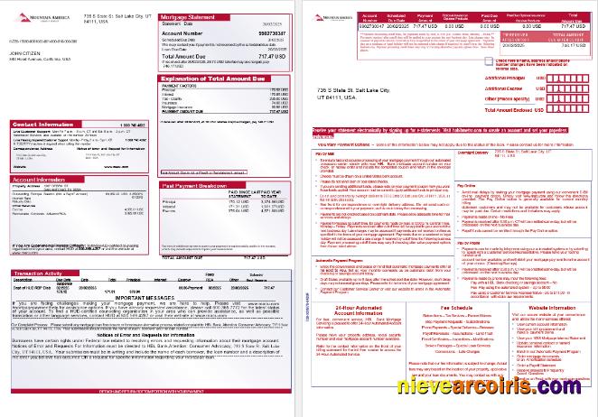 USA Mountain America Credit Union Bank Mortgage Statement In Word And PDF Formats, 3 Pages 1 2 Photolook