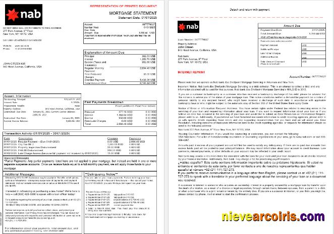 USA Nab Bank Mortgage Statement In Word And PDF Formats, 3 Pages 1 2 Photolook