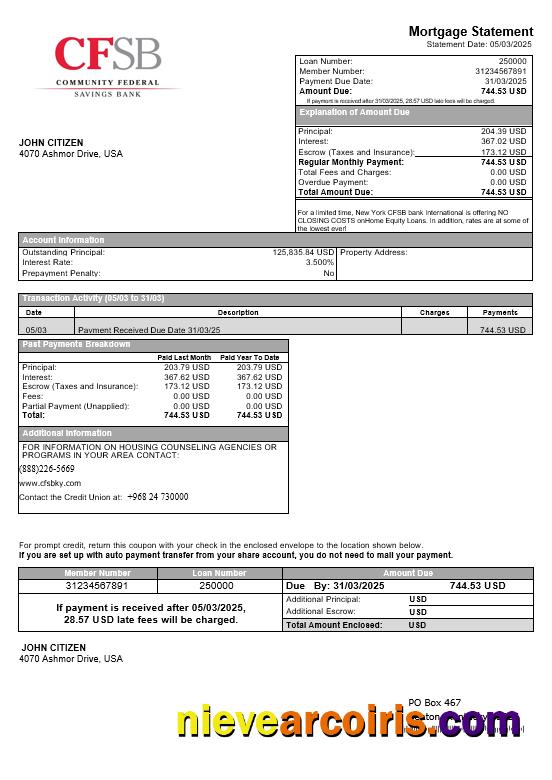 USA New York CFSB Bank Mortgage Statement In Word And PDF Formats Preview