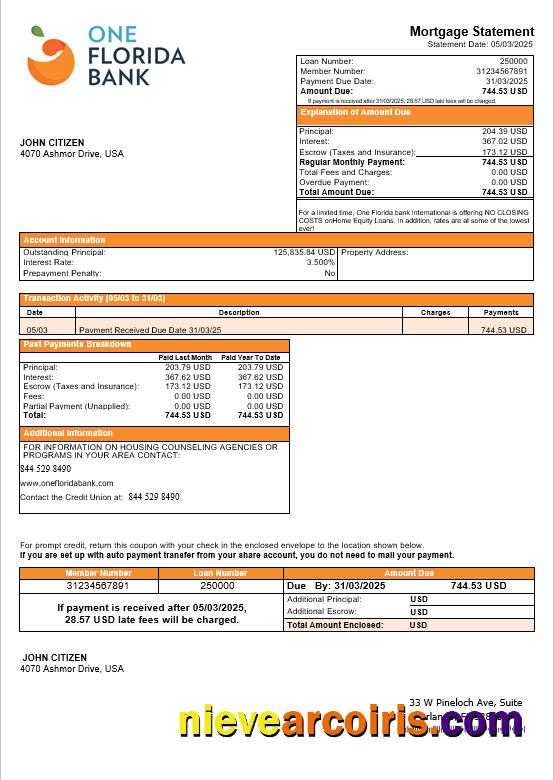 USA One Florida Bank Mortgage Statement In Word And PDF Formats Sample