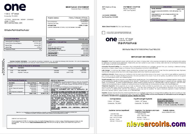 USA One Bank Mortgage Statement In Word And PDF Formats 1 2 Photolook