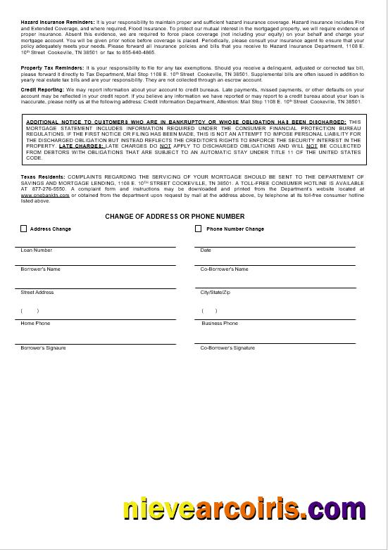 USA One Bank Mortgage Statement In Word And PDF Formats 3 Preview