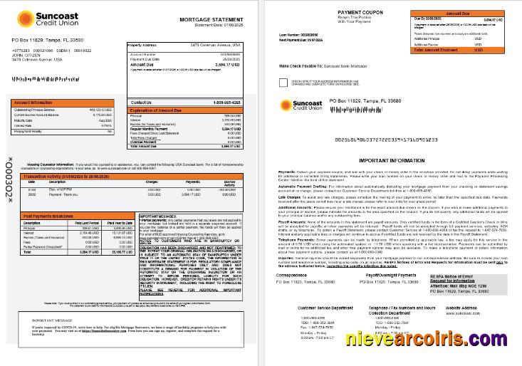 USA Suncoast Bank Mortgage Statement In Word And PDF Formats 1 2 Preview