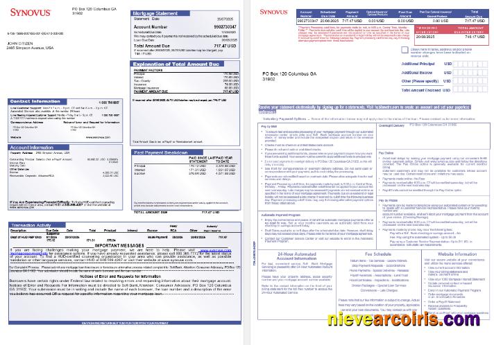 USA Synovus Bank Mortgage Statement In Word And PDF Formats, 3 Pages 1 2 Photolook