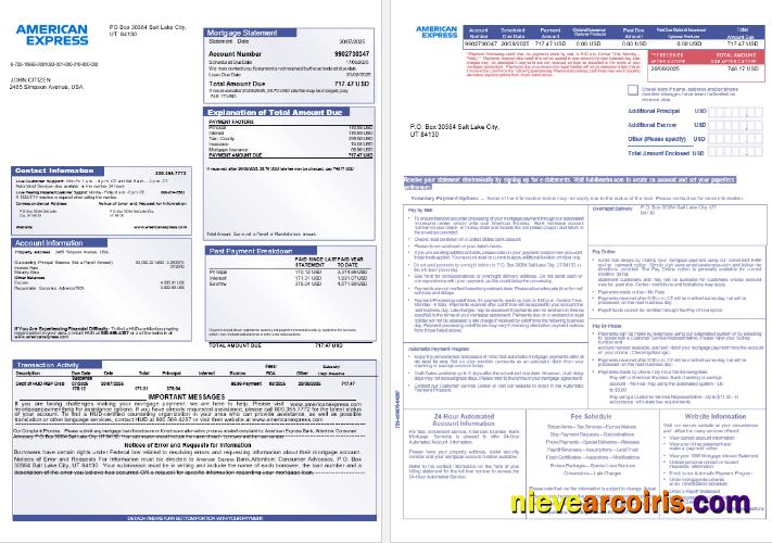 USA The American Express Bank Mortgage Statement In Word And PDF Formats, 3 Pages 1 2 Photolook