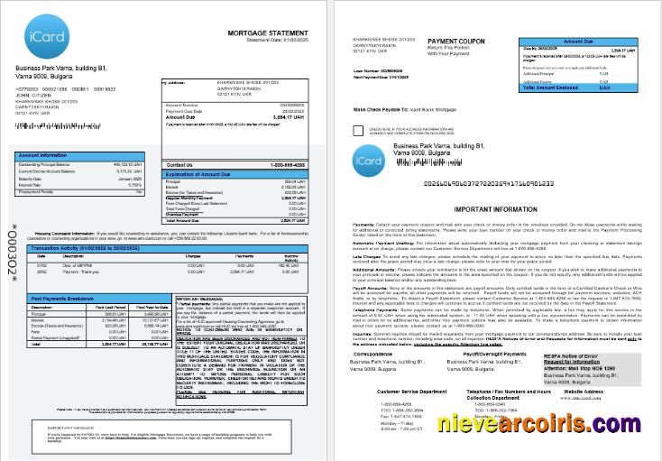 Ukraine Icard Bank Mortgage Statement In Word And PDF Formats 1 2 Template