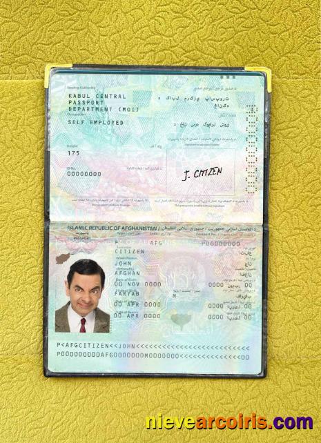 Afghanistan Passport Photo Look Template