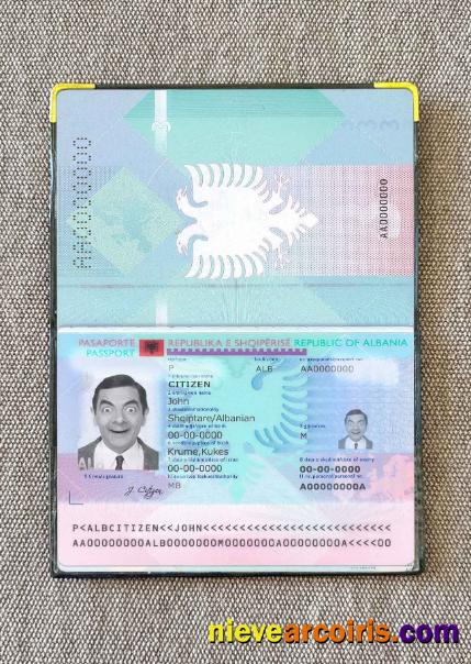 Albania Passport Photo Look Sample