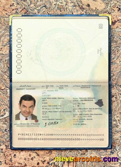 Algeria Passport Photo Look Sample