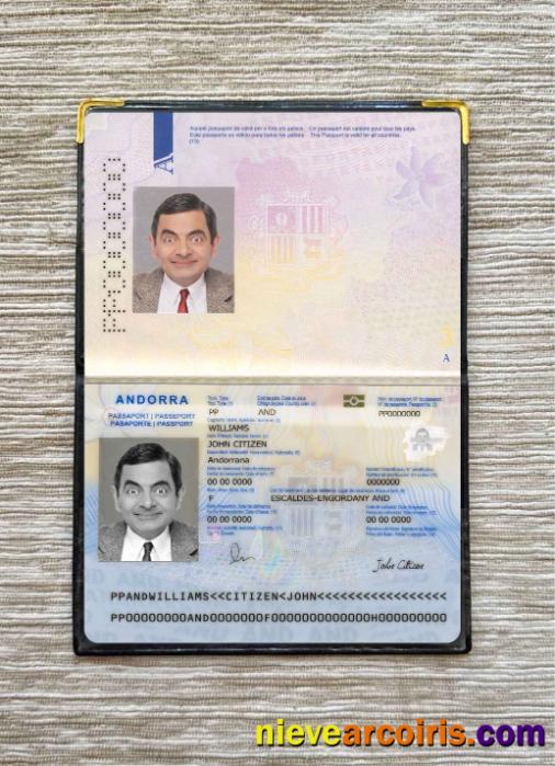 Andorra Passport Photo Look Template