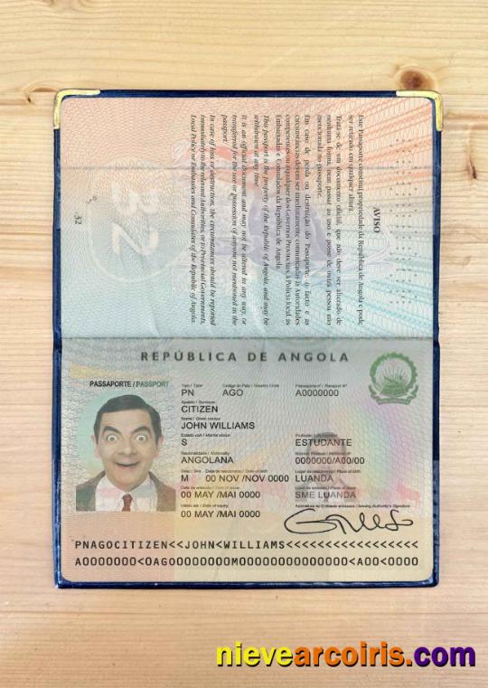 Angola Passport Photo Look Preview
