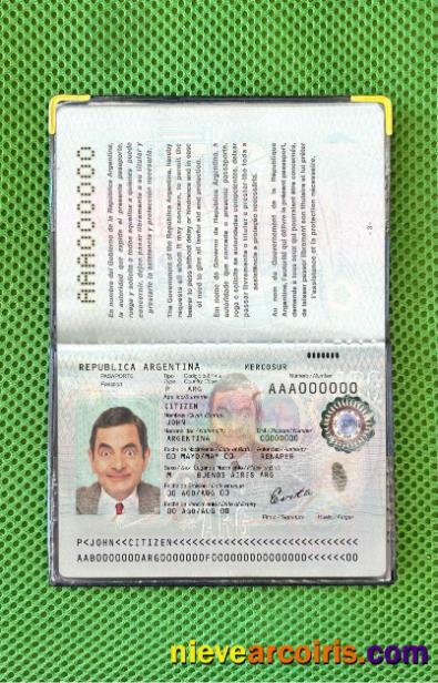 Argentina Passport Photo Look Photolook