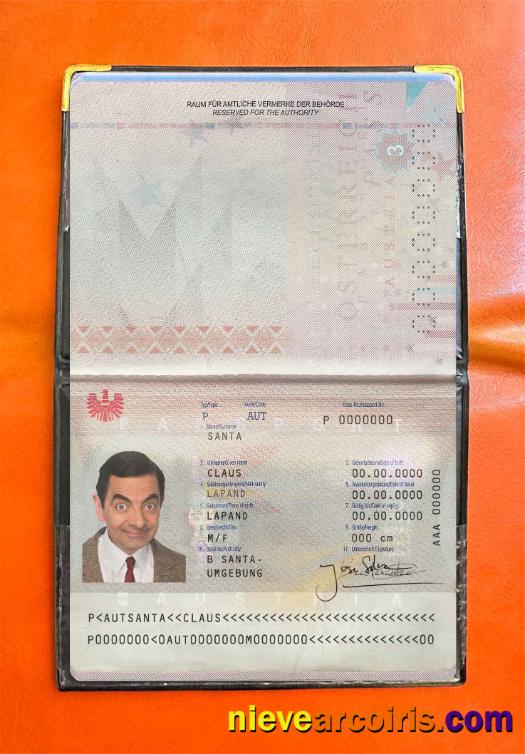 Austria Passport Photo Look Template