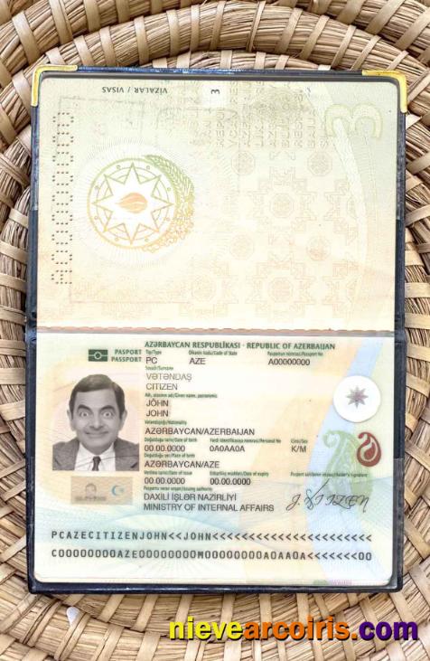 Azerbaijan Passport Photo Look Sample