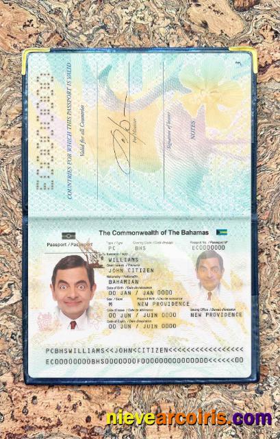 Bahamas Passport Photo Look Preview