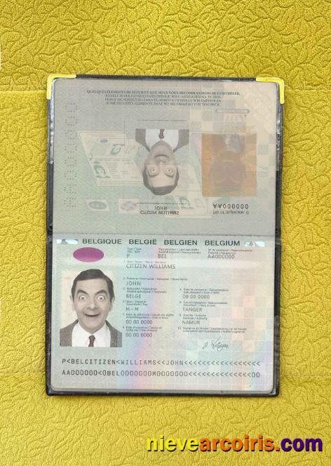 Belgium Passport (2014 2017) Photo Look Sample