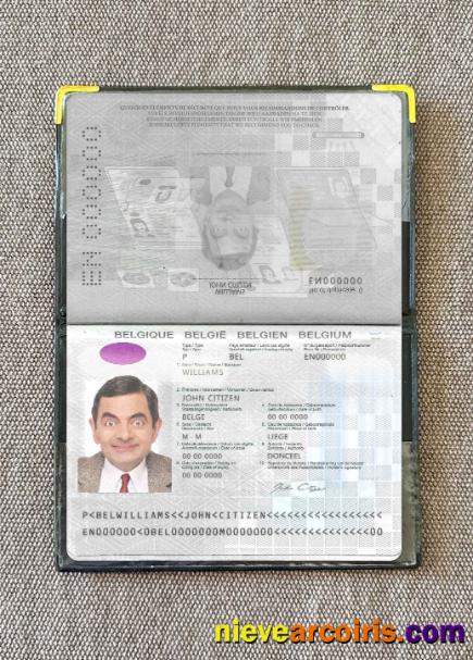 Belgium Passport Version 2 (2017 Present) Photo Look Template
