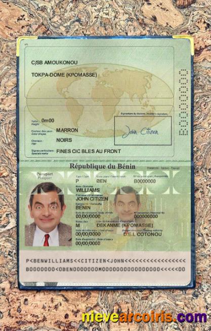 Benin Passport Photo Look Preview