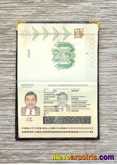 Bolivia Passport Photo Look Photolook