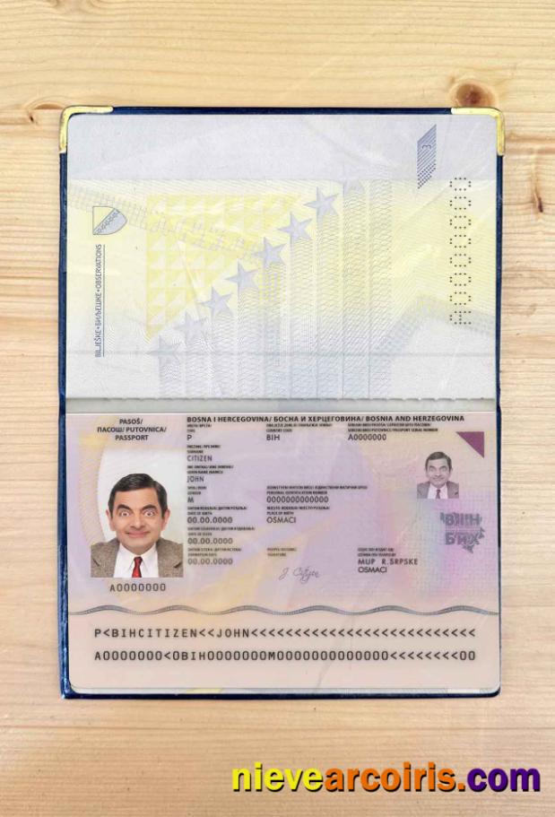 Bosnia & Herzegovina Passport Photo Look Preview