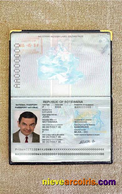 Botswana Passport Photo Look Preview