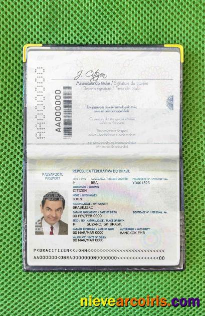 Brazil Passport (2016 2019) Photo Look Template