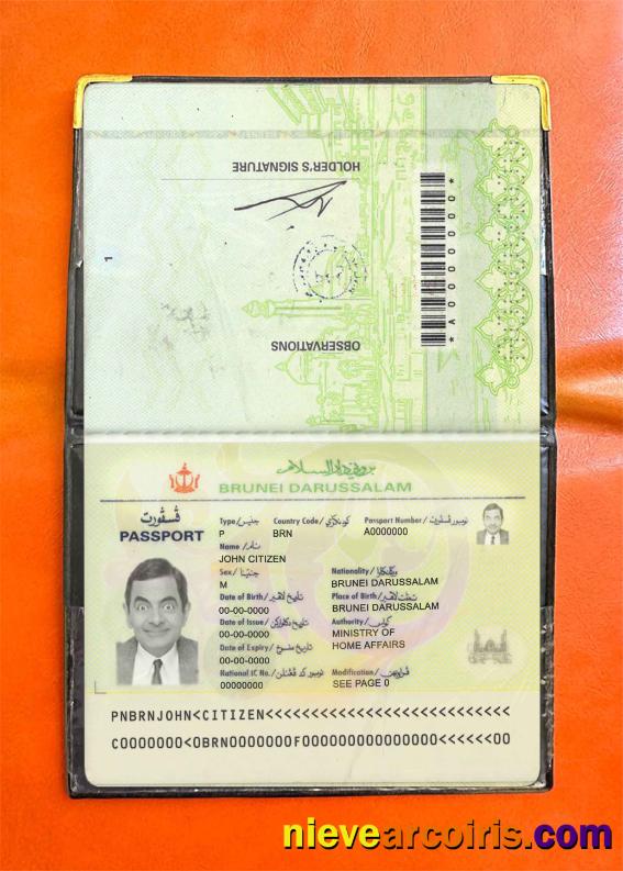 Brunei Pass Photo Look Sample