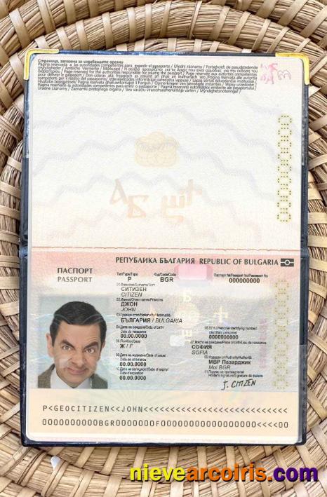 Bulgaria Passport Photo Look Template