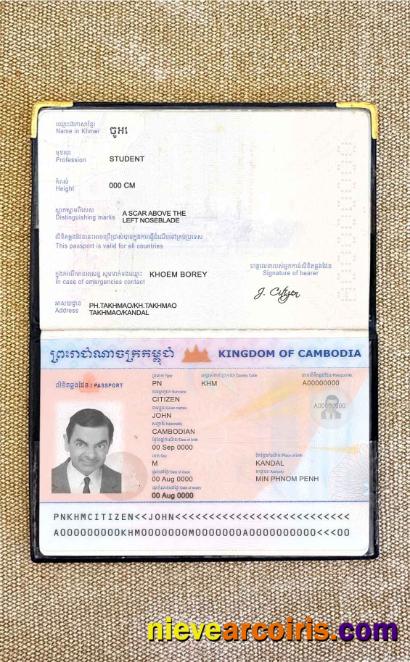 Cambodia Passport Photo Look Preview