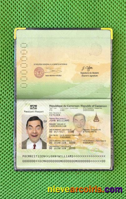 Cameroon Passport Photo Look Template