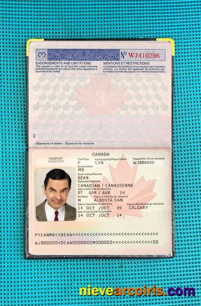 Canada Passport (2002 2010) Photo Look Template