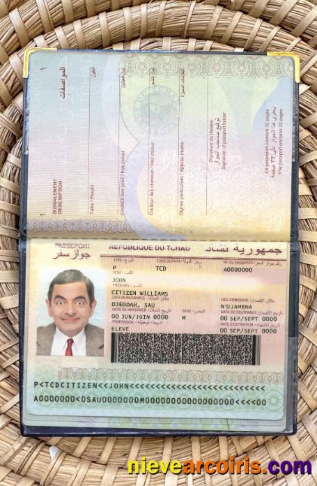 Chad Passport Photo Look Sample
