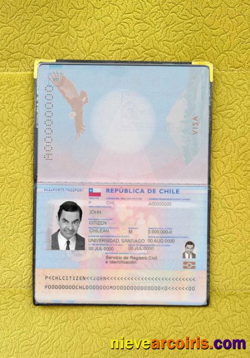Chile Passport Photo Look Preview