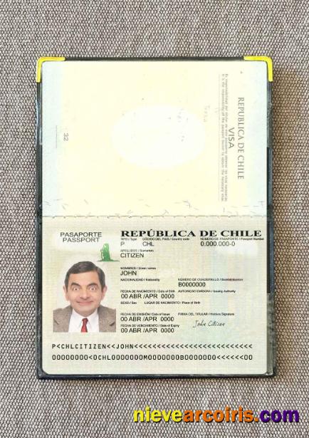 Chile Passport Version 2 Photo Look Sample