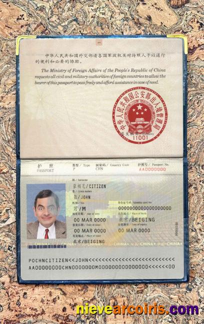 China Pass (2007 2009) Photo Look Sample