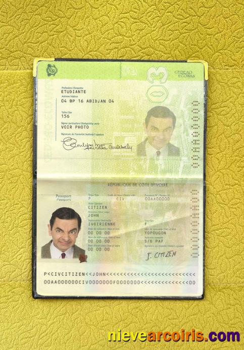 Cote D'lvoire Passport Photo Look Template