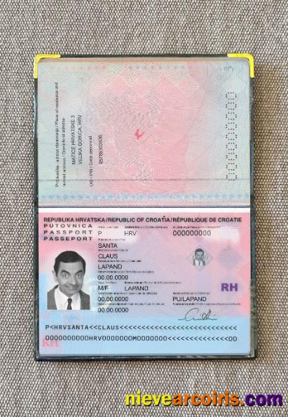 Croatia Passport Photo Look Photolook