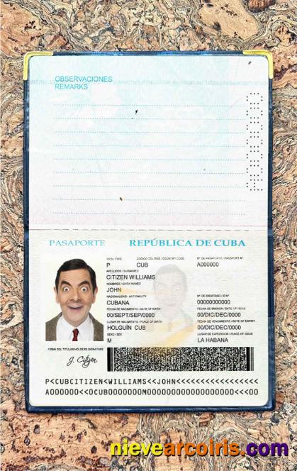 Cuba Passport Photo Look Preview