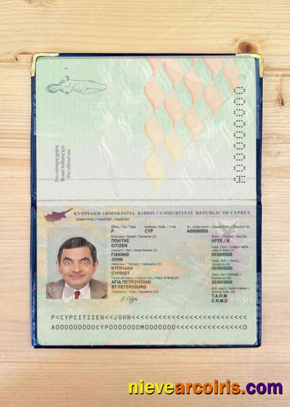 Cyprus Passport Photo Look Template