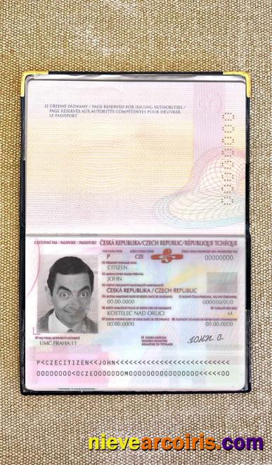 Czechia Passport Photo Look Sample