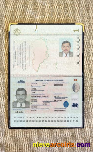 Denmark Passport 2022 Present Photolook Preview