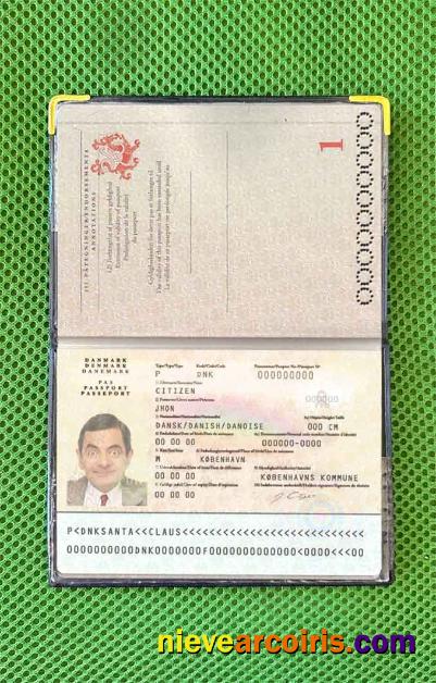 Denmark Passport Photo Look Preview