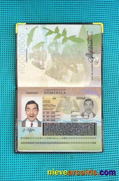 Dominican Passport Photo Look Photolook