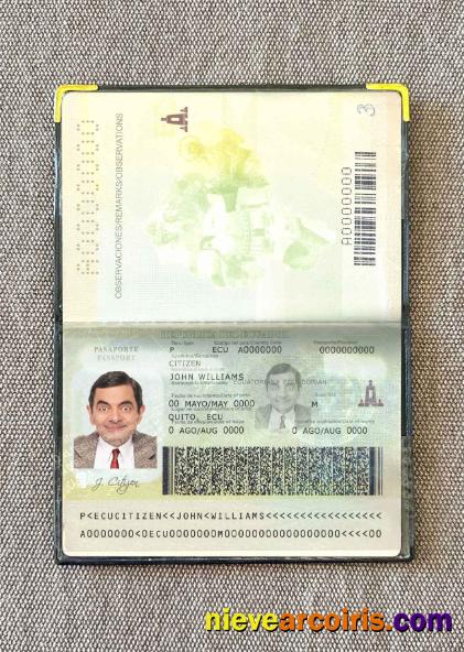 Ecuador Passport Photo Look Sample
