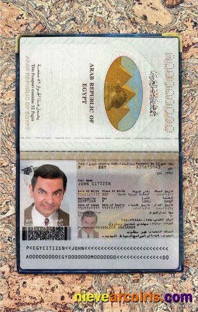 Egypt Passport Photo Look Sample