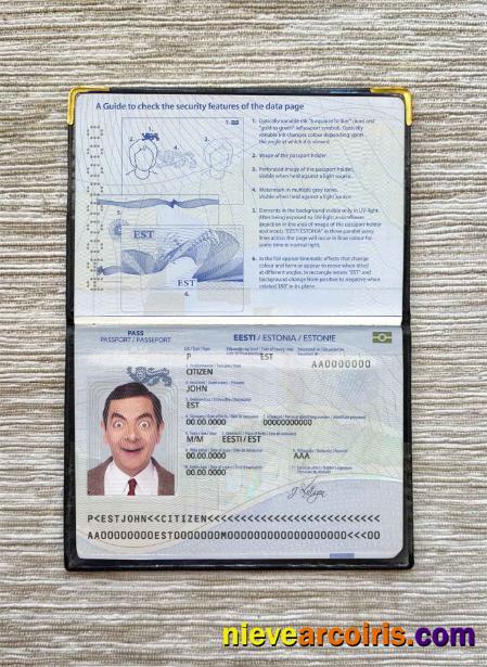 Estonia Passport Photo Look Photolook