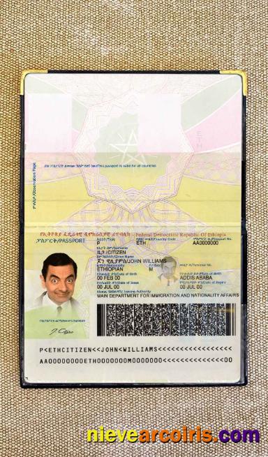 Ethiopia Passport Photo Look Preview