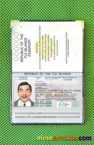 Fiji Passport Photo Look Sample